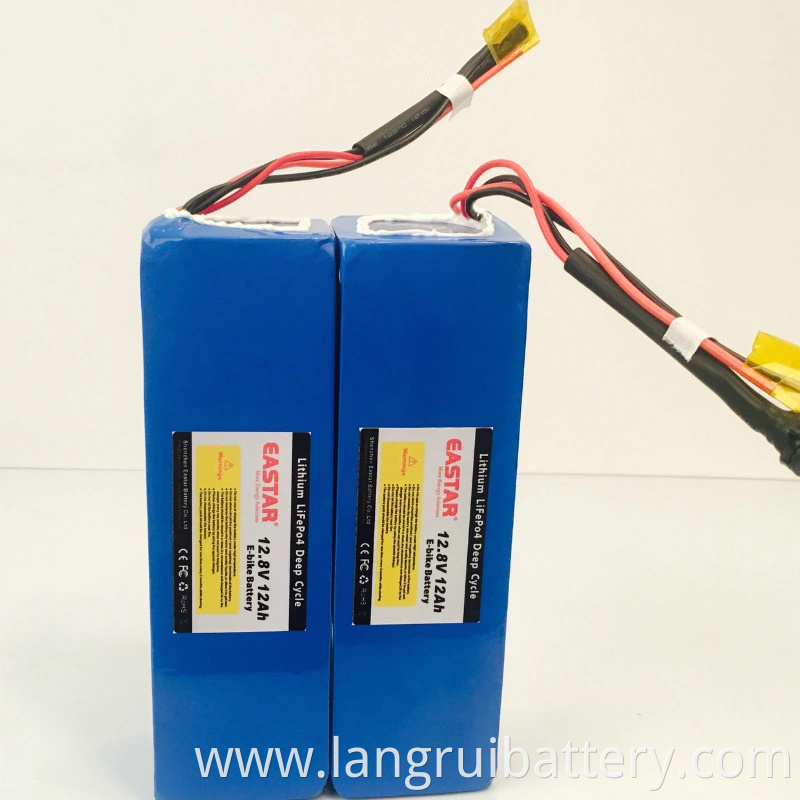 Li ION 12V 12AH Battery